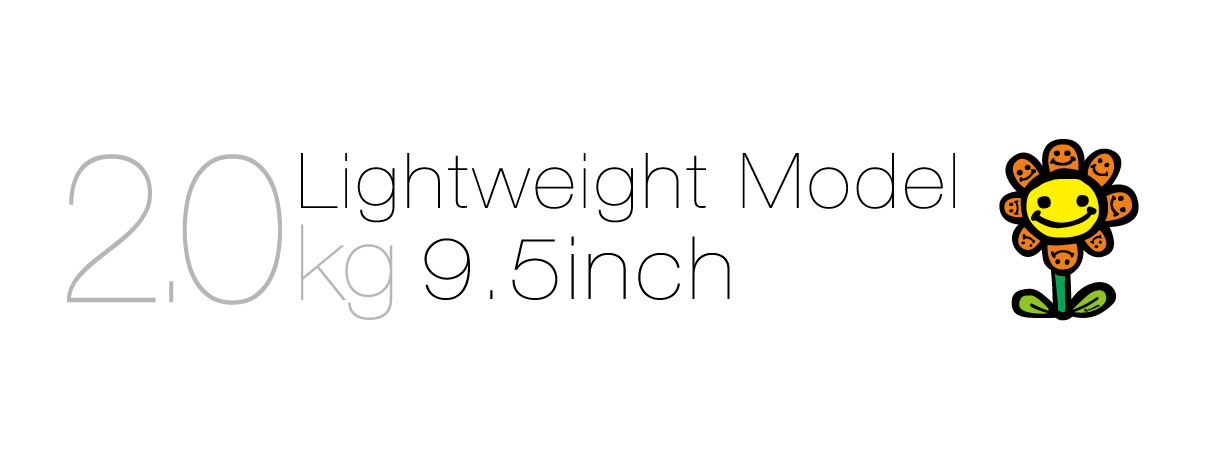 Lightweight Model